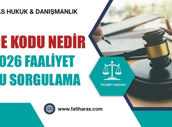 NACE Kodu Nedir ve 2026 Faaliyet Kodu Sorgulama