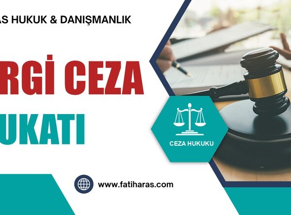 Vergi Ceza Avukatı