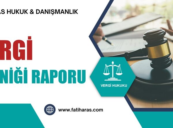 Vergi Tekniği Raporu