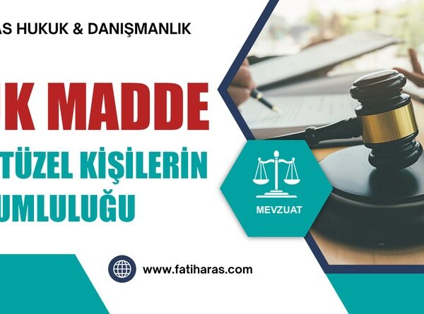 VUK Madde 333 Tüzel kişilerin sorumluluğu