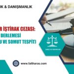 Mali Müşavir İştirak Cezası: VDDK 5 Karar Derlemesi (Sebep Unsuru ve Somut Tespit)
