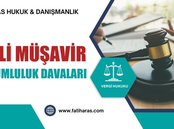 Mali Müşavir Sorumluluk Davaları