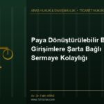 Paya Dönüştürülebilir Borç: Girişimlere Şarta Bağlı Sermaye Kolaylığı