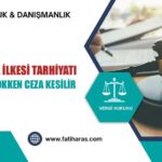 Dönemsellik İlkesi Tarhiyatı: Vergi Kaybı Yokken Ceza Kesilir mi?