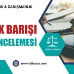 Varlık Barışı Vergi İncelemesi Varlık Barışı Vergi İncelemesi