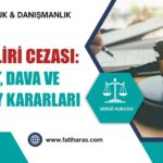Kira Geliri Cezası: Tarhiyat, Dava ve Danıştay Kararları Kira Geliri Cezası: Tarhiyat, Dava ve Danıştay Kararları